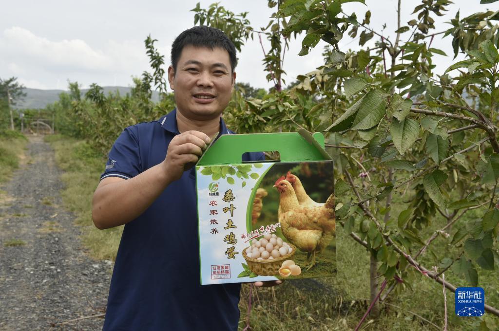 问鼎平台下载入口